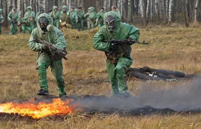 13 ноября — День войск радиационной, химической и биологической защиты /  Новости / Богородский городской округ Московской области