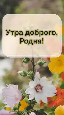 Родня: жизнь, любовь, искусство и смерть неандертальцев — купить книгу  Ребекки Рэгг Сайкс на сайте alpinabook.ru