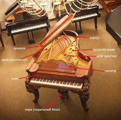 Концертный рояль — модели и цены - Дом роялей КлавирХаус