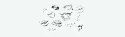 Рты наброски ртов аниме рот клыки | Mouth drawing, Art reference, Art  tutorials drawing