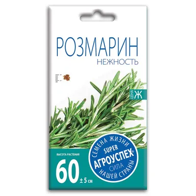 Коллекции растений ЦСБС СО РАН - Rosmarinus officinalis L. – Розмарин  лекарственный (по новым данным Salvia rosmarinus Spenn.)