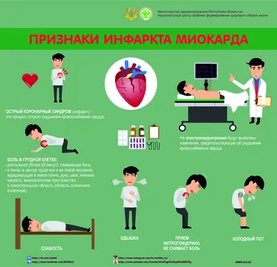 Что такое инфаркт миокарда? Инфаркт миокарда: причины, первые признаки,  методы лечения и профилактики