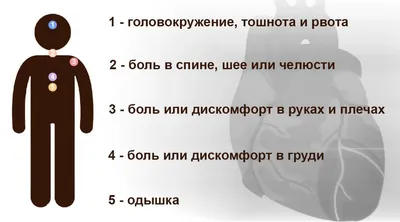 Инфаркт: как работает сердце? / Здравствуйте - YouTube