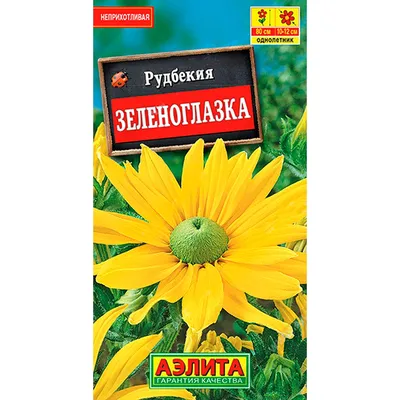Рудбекия гибридная - Рудбекия - Травянистые растения для открытого грунта -  GreenInfo.ru