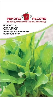 Руккола семена для выращивания микрозелени купить с доставкой | питомник  Васхнил