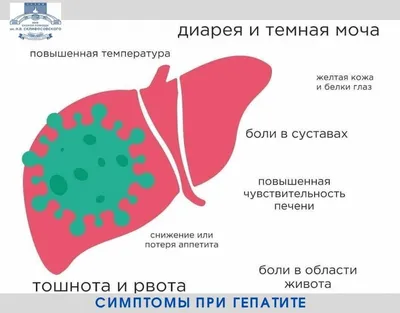 Екатеринбуржец с рвотой и температурой ждал бригаду скорой помощи семь с  половиной часов - KP.RU