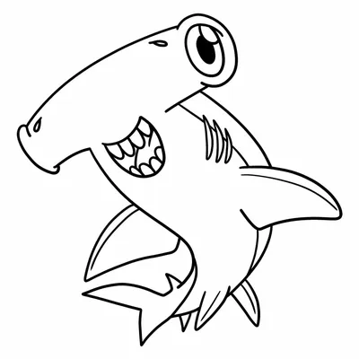 Рыба-молот, или акула-молот (Sphyrna zygaena). Фото и видео рыбы-молот