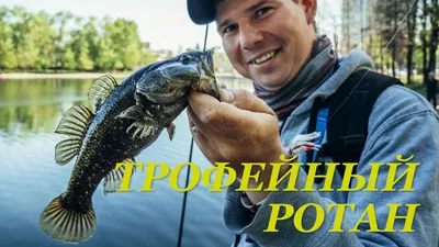 СТРАШНЫЙ РОТАН | Вести с водоемов