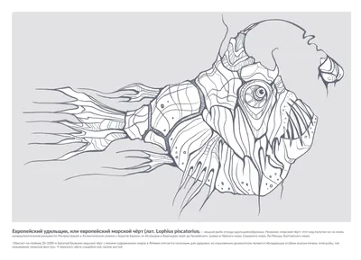 Рыба Удильщик - Монстр из морских …» — создано в Шедевруме