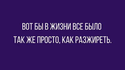 Смешные до слез: подборка забавных фото животных со всего мира: Идеи и  вдохновение в журнале Ярмарки Мастеров