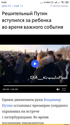 Смешные Коты ДО СЛЁЗ ВИДЕО ПРИКОЛЫ | Facebook