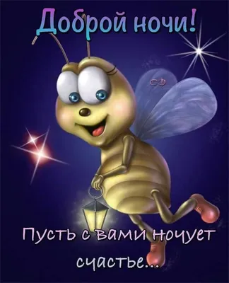 ДА, СЕЙЧАС 3 ЧАСА НОЧИ, НО Я ПО ВАЖНОМУ ВОПРОСУ. ТЫ В ДОГОНЯЛКИ БУДЕШЬ  ИГРАТЬ?» / картинки :: котэ картинки / смешные картинки и другие приколы:  комиксы, гиф анимация, видео, лучший интеллектуальный юмор.