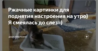 Смешные картинки очень смешные ржачные картинки