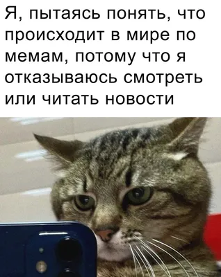 Прикольные картинки ржачные