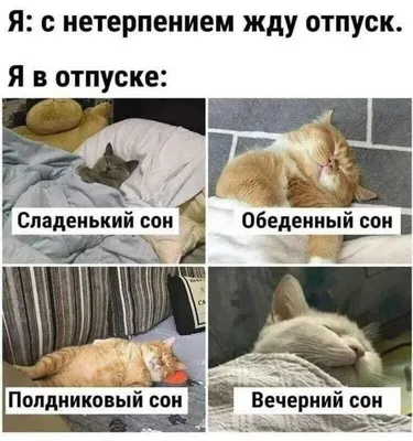 Ржачные картинки про утро