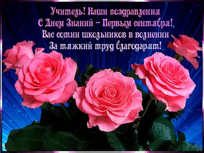 Какие цветы подарить учителю 1 сентября читайте на сайте Premium-flowers