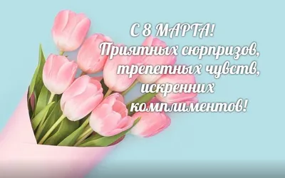 Милые и очаровательные женщины! Дорогие коллеги и партнёры!