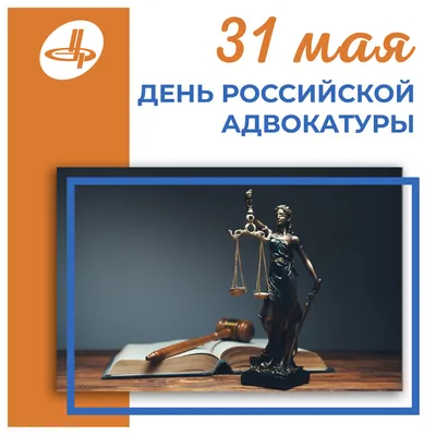 Поздравляю всех правозащитников с днем российской адвокатуры! Желаю  большого потенциала, крепкой хватки, рассудительности и холодного… |  Instagram