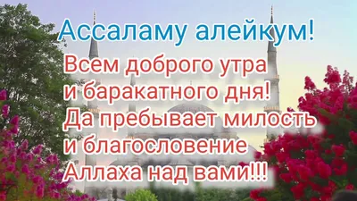 27 июня, 2023 года - Пост в День Арафа