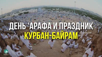 6 СОВЕТОВ КО ДНЮ АРАФА - Официальный сайт Духовного управления мусульман  Казахстана