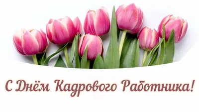 С Днем кадрового работника! — новость в Контур.Школе