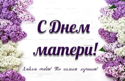 Поздравляю всех матерей🌺 С ДНЕМ МАТЕРИ,здоровья, удача эти не легкие дни с  уважением к вам т,ЛИЗА🌺🌷🌻 | ВКонтакте