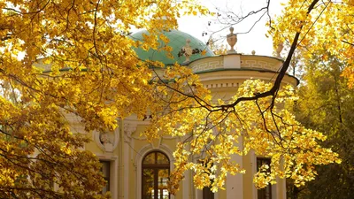 С Днем осеннего равноденствия! Самого доброго, теплого всем сентябрьского  настроения!🍂 - YouTube