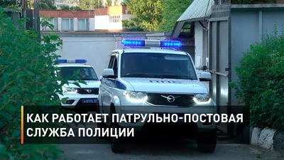 2 сентября - День патрульно-постовой службы :: Новостной портал города  Пушкино и Пушкинского городского округа