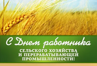 День работников сельского хозяйства в 2023 году | 09.10.2023 |  Красноармейское - БезФормата