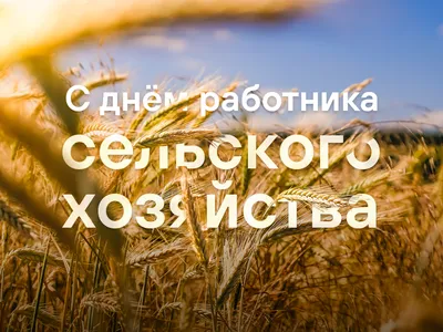 День работника сельского хозяйства