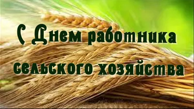 Сегодня в Казахстане отмечается День работников сельского хозяйства,  пищевой и перерабатывающей промышленности