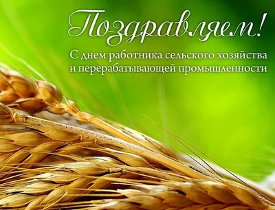 День работников сельского хозяйства и перерабатывающей промышленности РФ -  Группа компаний Капитал ПРОК