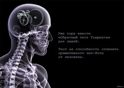 Рентгенологи отмечают профессиональный праздник 8 ноября : Псковская Лента  Новостей / ПЛН