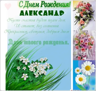 С днем рождения Александр #хочуврек | TikTok