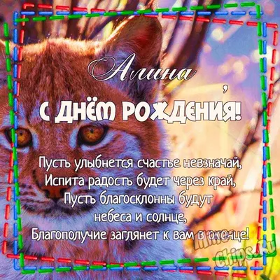 Алина, с днем рождения #алина #деньрождения #рек #рекомендации | TikTok