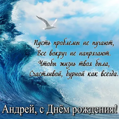 С днем рождения, Андрей! (Алёна Александрова 8) / Стихи.ру