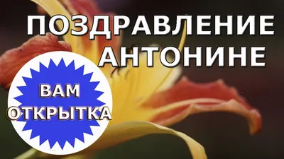 Картинка с днем рождения Антонина Андреевна - поздравляйте бесплатно на  otkritochka.net