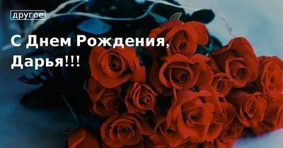 С Днём Рождения!!!!!!!! Даша!!!! | Форум любителей самоедов