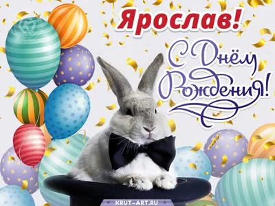 🥳С ДНЕМ РОЖДЕНИЯ! ⚡Сегодня празднует свой день рождения Ярослав Фролов!  ❗Желаем нашему полузащитнику, воспитаннику Академии ФК… | Instagram