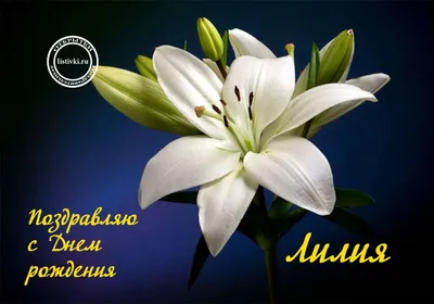 Лиля, с днем рождения, поздравление в прозе — Бесплатные открытки и анимация