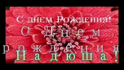 Надежда, с Днём Рождения! . Кулинарные статьи и лайфхаки | 25.09.2015 -  burro.salvia