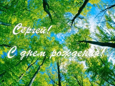 🎊 С Днём Рождения, Сергей Всеволодович! 🎉 Сегодня своё 57-летие отмечает  директор нашей Академии футбола, заслуженный динамовец и… | Instagram