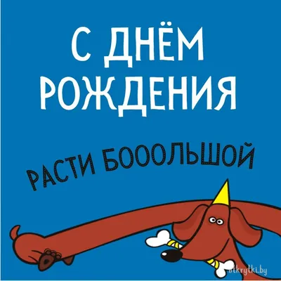 Прикольное поздравление С Днем Рождения!!! 😂 Отличного настроения! |  Веселые открытки | Дзен