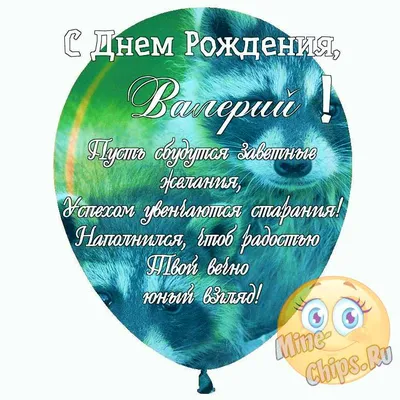 С Днем рождения, Валерий Геннадьевич!