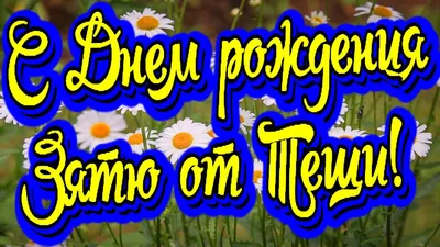 С Днем рождения зятю от тещи! Красивое поздравление в стихах, музыкальная  открытка! - YouTube