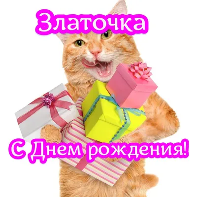 деньрождения #злата #4года #златулязолотуля #рек #реклмендации | TikTok