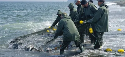 МОРСКОЙ БАНК поздравляет с Днем рыбака!