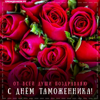 Президент поздравил сотрудников таможенных органов с Днем таможенника