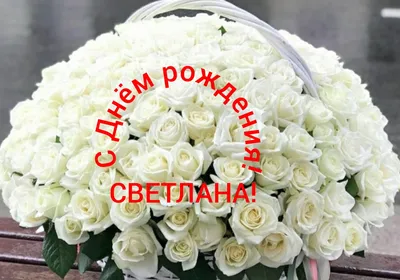 Открытки \"С Днем Рождения, Света, Светлана!\" (105 шт.)