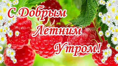 Летние открытки с добрым летним утром